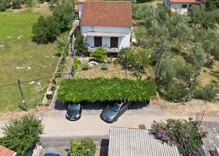 Serda
